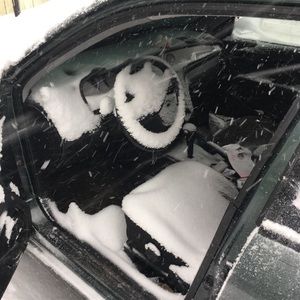 Meet your Posher, Albert